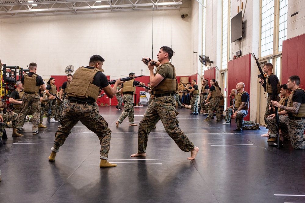 Marine Corps Martial Arts 25th year anniversary technique symposium