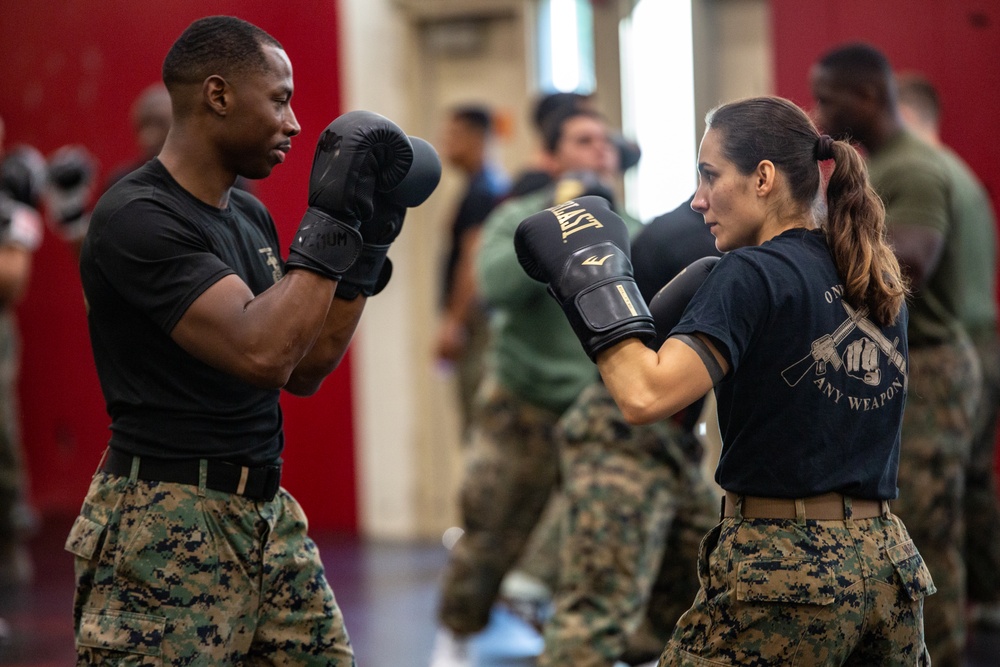 Marine Corps Martial Arts 25th year anniversary technique symposium