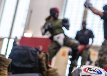 Marine Corps Martial Arts 25th year anniversary technique symposium