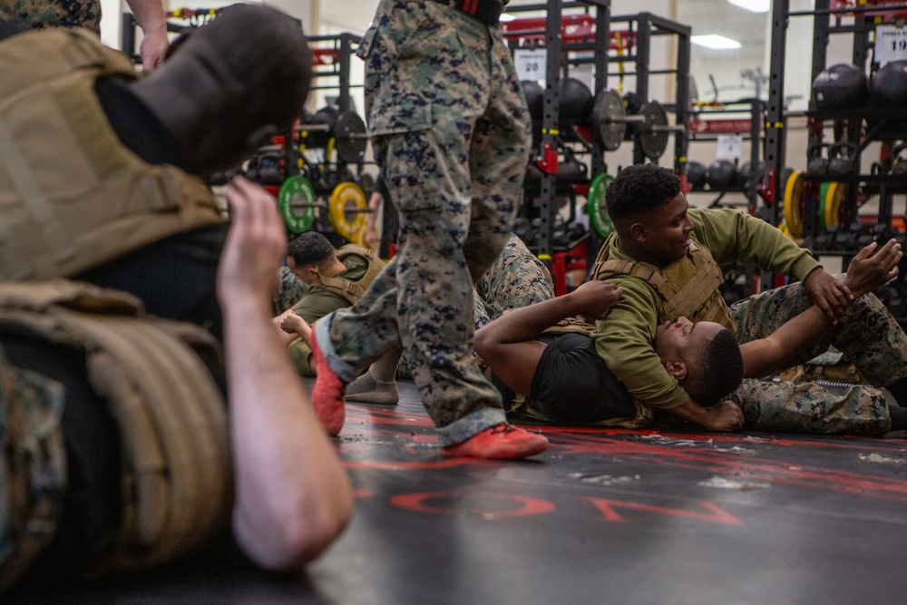 Marine Corps Martial Arts 25th year anniversary technique symposium