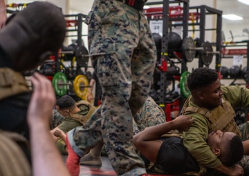 Marine Corps Martial Arts 25th year anniversary technique symposium