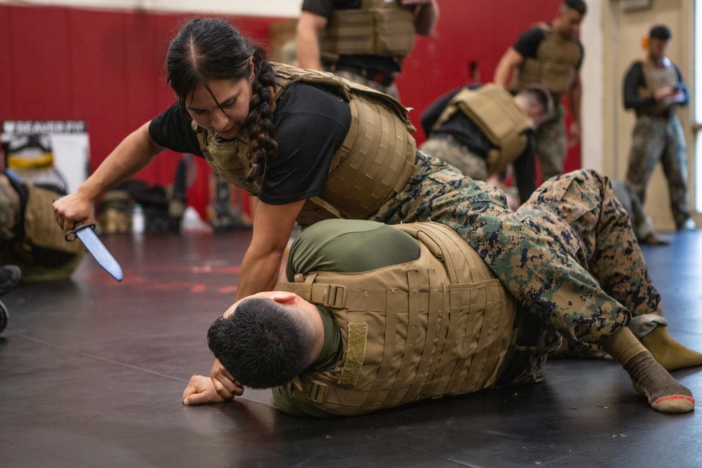 Marine Corps Martial Arts 25th year anniversary technique symposium
