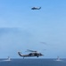 The Titans of the Sea