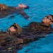 3d MLG Marines Attend Water Survival Advanced Training Program