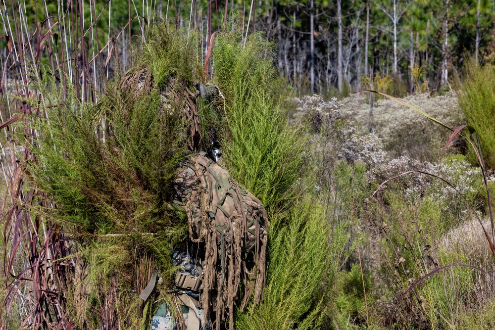 AITB Basic Scout Course final exercise AITB Basic Scout Course final exercise