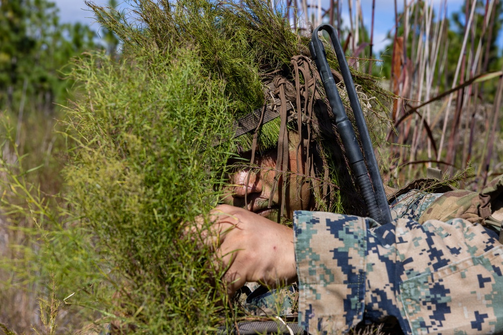 AITB Basic Scout Course final exercise AITB Basic Scout Course final exercise