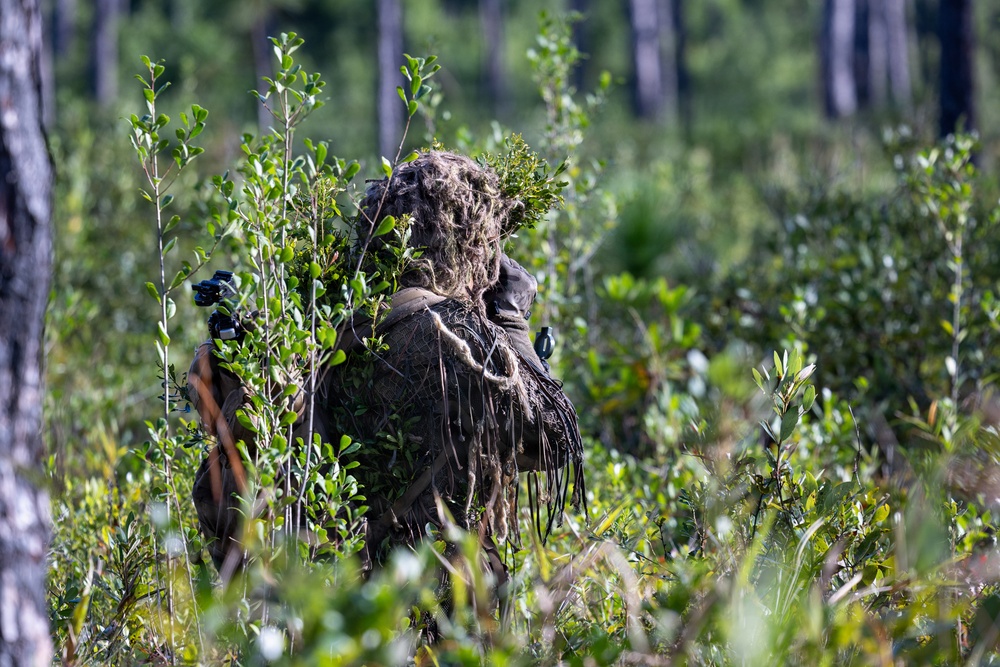 AITB Basic Scout Course final exercise AITB Basic Scout Course final exercise