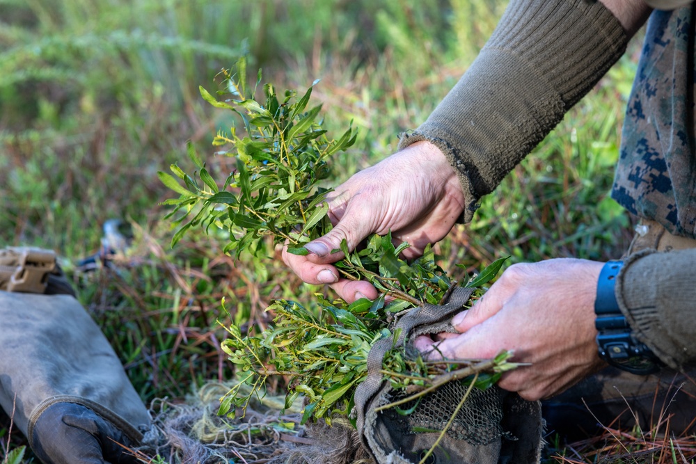 AITB Basic Scout Course final exercise AITB Basic Scout Course final exercise