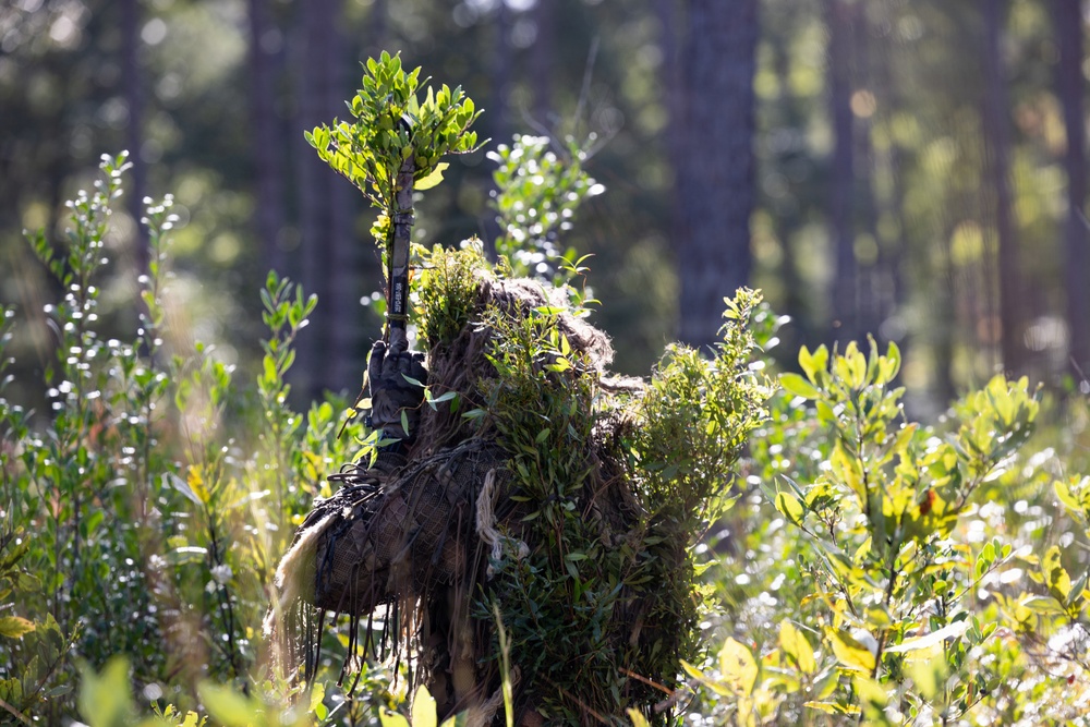 AITB Basic Scout Course final exercise AITB Basic Scout Course final exercise
