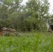 Corporals Course 4-25 field exercise
