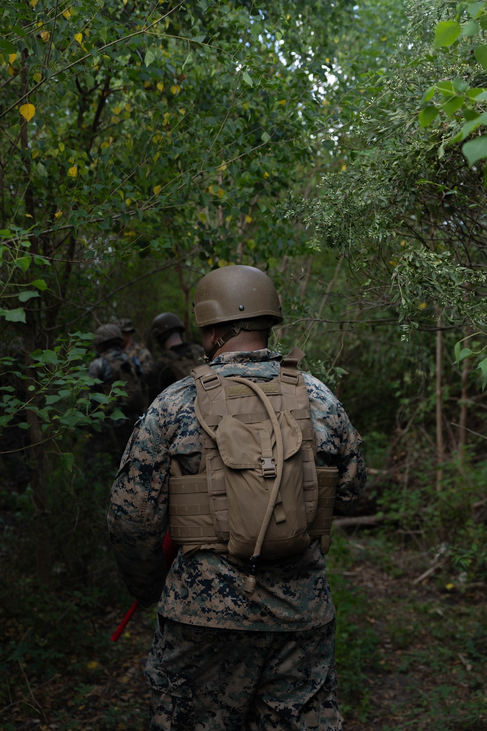 Corporals Course 4-25 field exercise