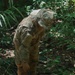 Combined Jungle Operations Training Course Primitive Shelter