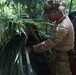Combined Jungle Operations Training Course Primitive Shelter