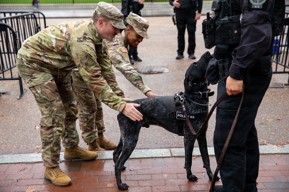 Mississippi National Guard Soldiers pet a Secret Service K-9 in front of the White House