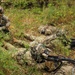 2/101st Combined Resolve 26-1 Security Operations