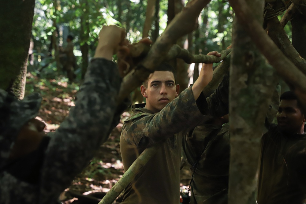 Combined Jungle Operations Training Course Survival Testing