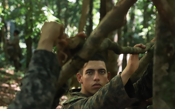 Combined Jungle Operations Training Course Traps