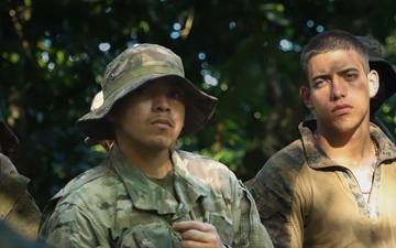 Combined Jungle Operations Training Course Survival Testing