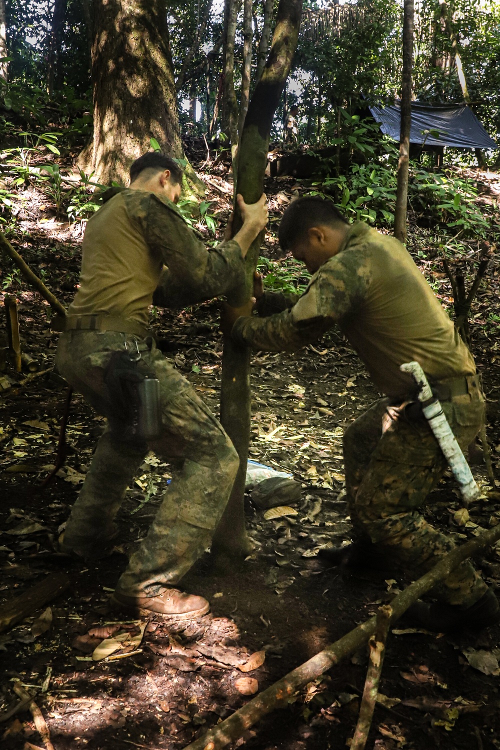 Combined Jungle Operations Training Course Survival Testing
