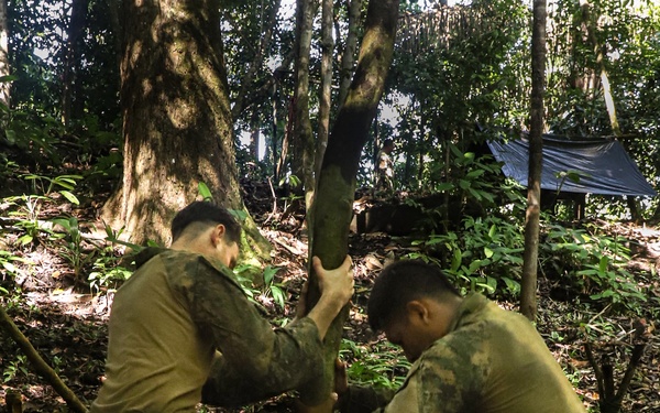 Combined Jungle Operations Training Course Traps