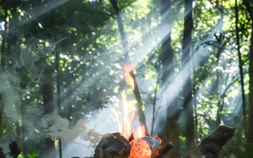 Combined Jungle Operations Training Course Traps
