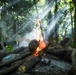 Combined Jungle Operations Training Course Survival Testing