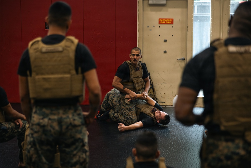 Marine Corps Martial Arts 25th year anniversary technique symposium