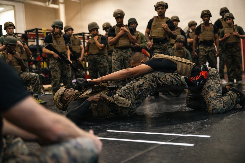 Marine Corps Martial Arts 25th year anniversary technique symposium