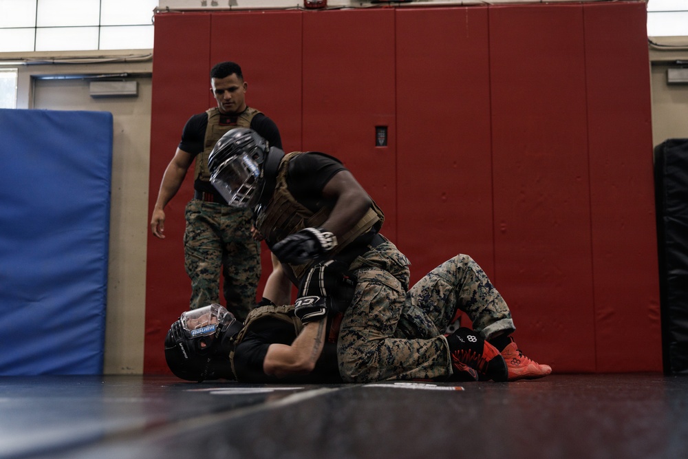 Marine Corps Martial Arts 25th year anniversary technique symposium