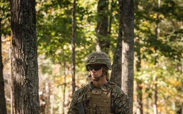 Company D conducts FFEX