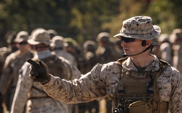 Company D conducts FFEX