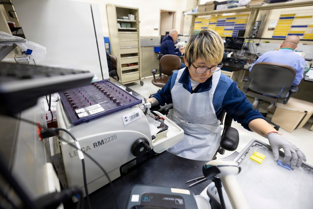 DVIDS - Images - Walter’s Way Behind the Scenes: Lab Professionals at ...