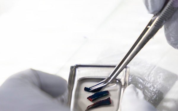 Walter’s Way Behind the Scenes: Lab Professionals at Walter Reed National Military Medical Center