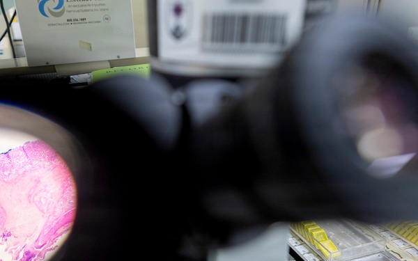 Walter’s Way Behind the Scenes: Lab Professionals at Walter Reed National Military Medical Center