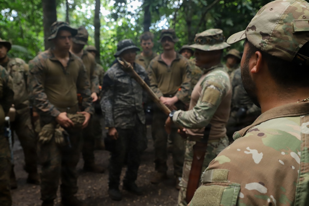 Combined Jungle Operations Training Course Traps