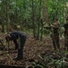 Combined Jungle Operations Training Course Traps