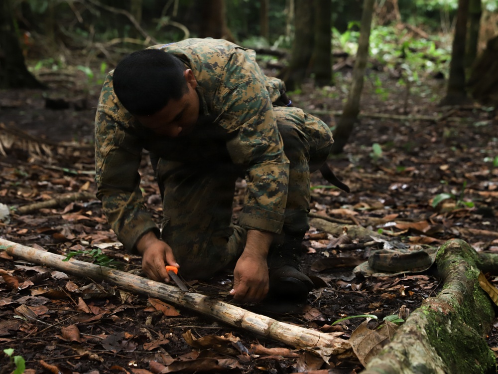 Combined Jungle Operations Training Course Traps