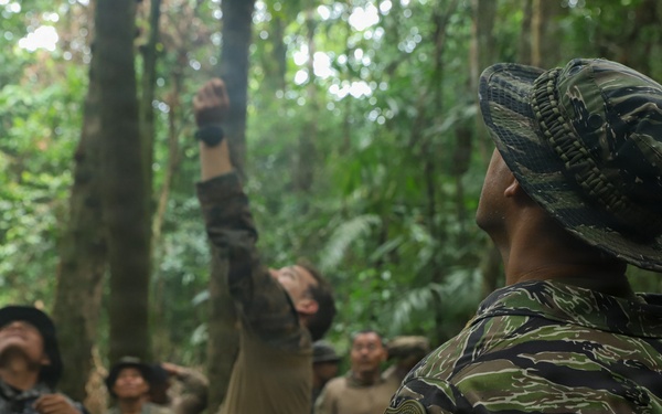 Combined Jungle Operations Training Course Traps