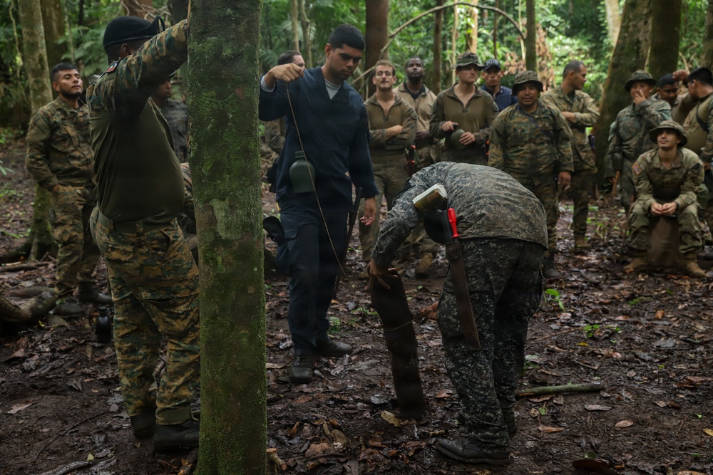 Combined Jungle Operations Training Course Traps