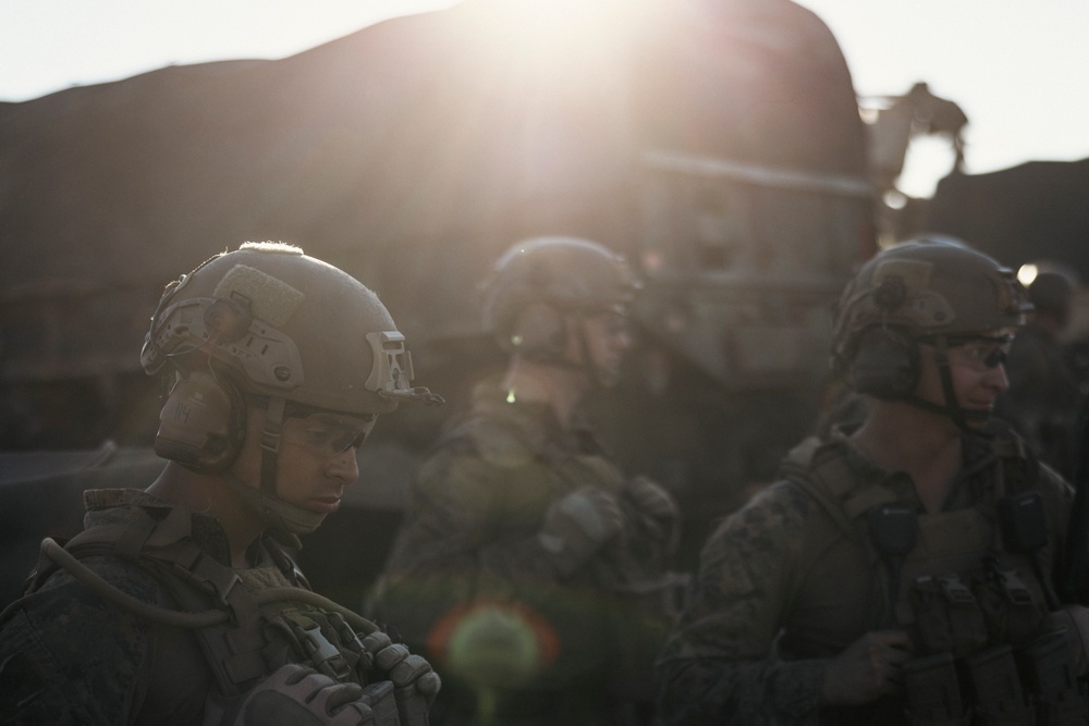2nd Battalion, 11th Marine Regiment Participates in the Marine Corps’ 250th Birthday Amphibious Capabilities Demonstration