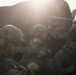 2nd Battalion, 11th Marine Regiment Participates in the Marine Corps’ 250th Birthday Amphibious Capabilities Demonstration