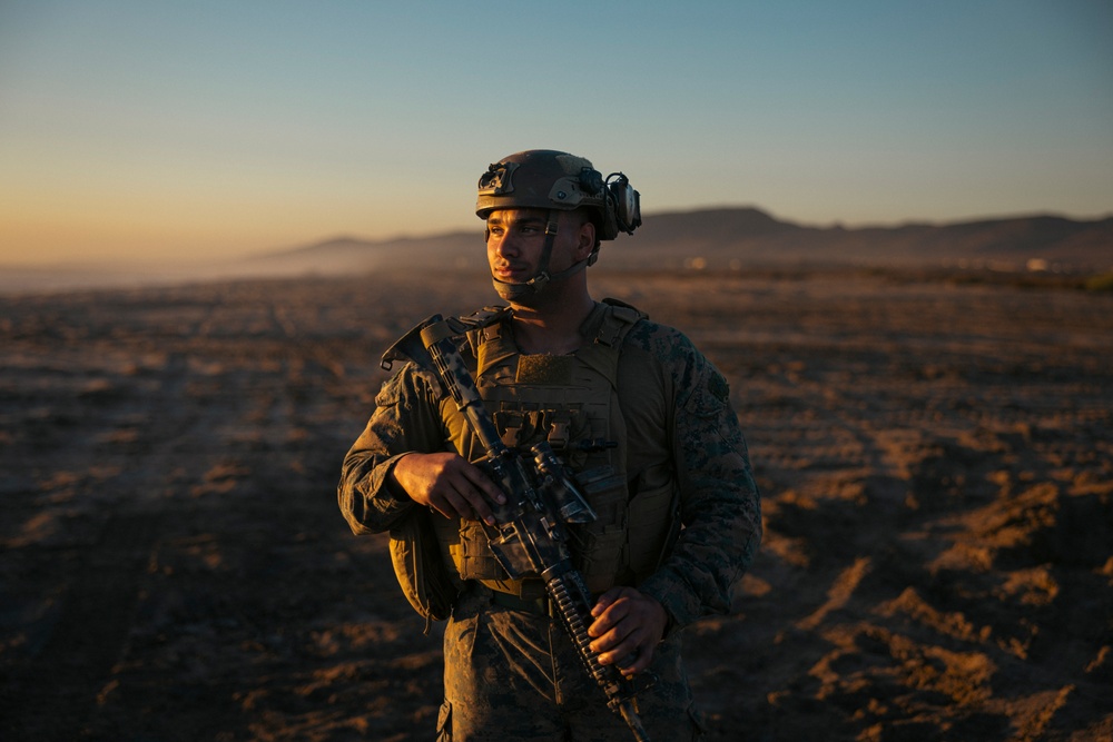 2nd Battalion, 11th Marine Regiment Participates in the Marine Corps’ 250th Birthday Amphibious Capabilities Demonstration