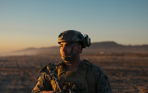 2nd Battalion, 11th Marine Regiment Participates in the Marine Corps’ 250th Birthday Amphibious Capabilities Demonstration