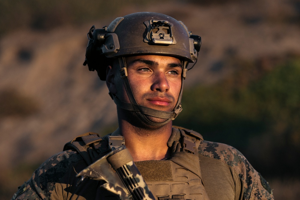 2nd Battalion, 11th Marine Regiment Participates in the Marine Corps’ 250th Birthday Amphibious Capabilities Demonstration