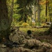 2nd Brigade, 101st Airborne React to Enemy Armor Attack