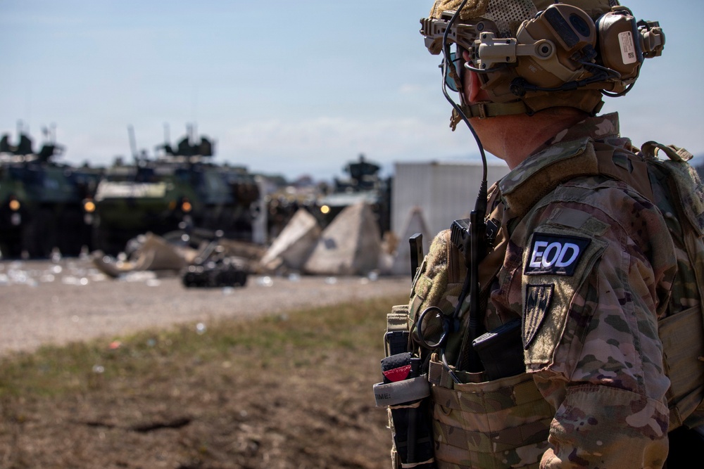 Polish Soldiers Sharpen Crowd Riot Control Skills in Kosovo