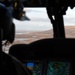 AKOM continues recovery operations during Operation Halong Response