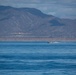 250th Amphibious Capabilities Demonstration: USS Boxer, 11th MEU Marines conduct ACV Ops