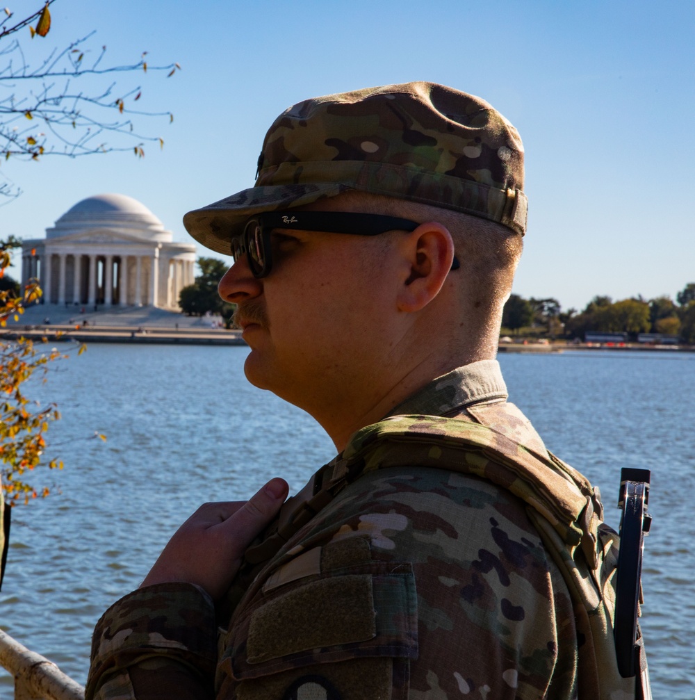 Vigilance around the Nation's Monuments