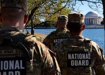 Vigilance around the Nation's Monuments